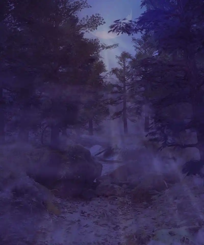 黑暗迷雾森林,黑暗阴森的林木,在夜间与新月.