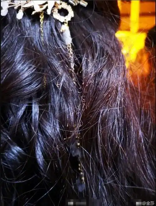 金莎拍戏头发被烧焦被问头发怎么处理搞笑回应