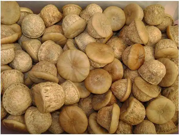 这是什么 特别坚硬不是干果类 也不是药材类 砸不开的 请问这是什么