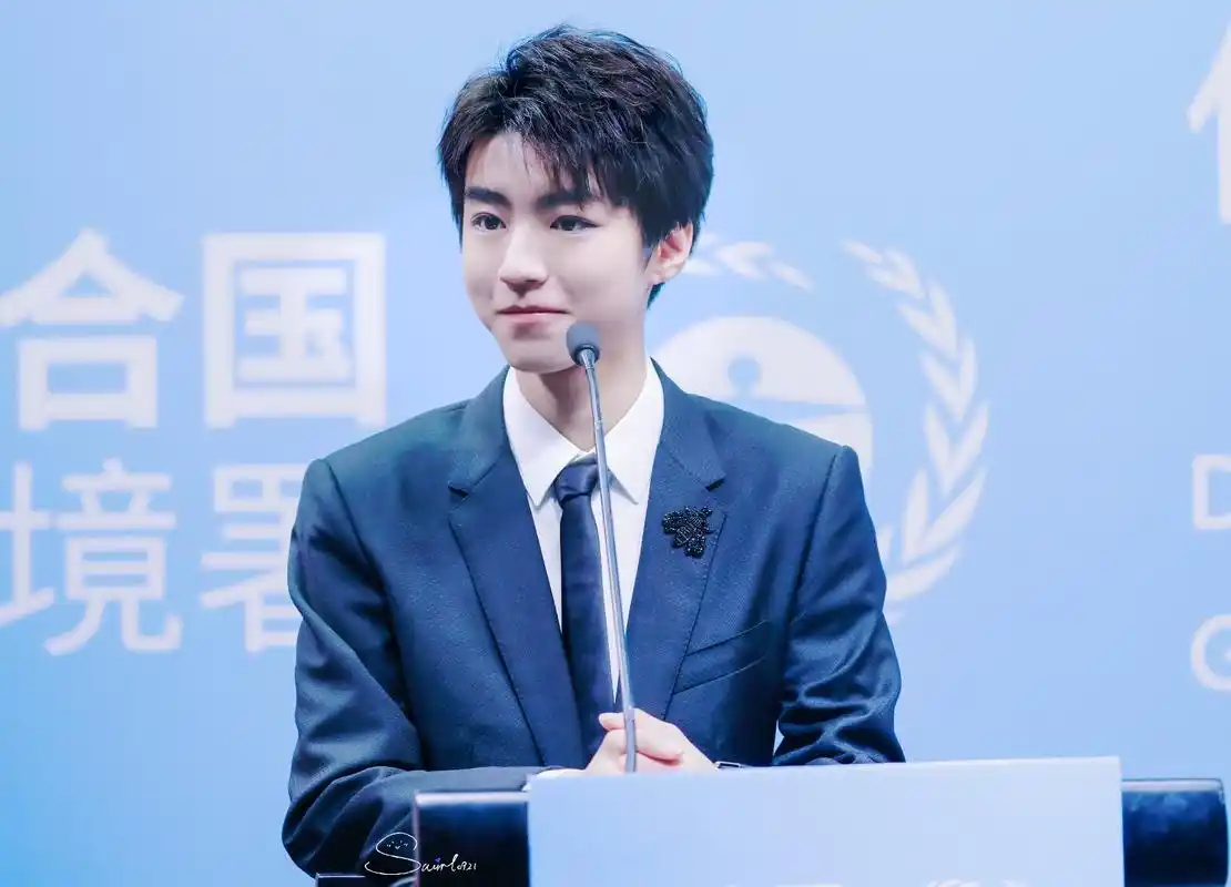 王俊凯联合国环境署亲善大使任命仪式