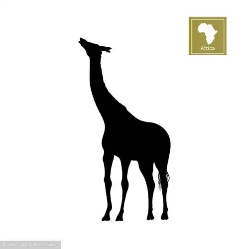 白色背景上的长颈鹿的黑色剪影