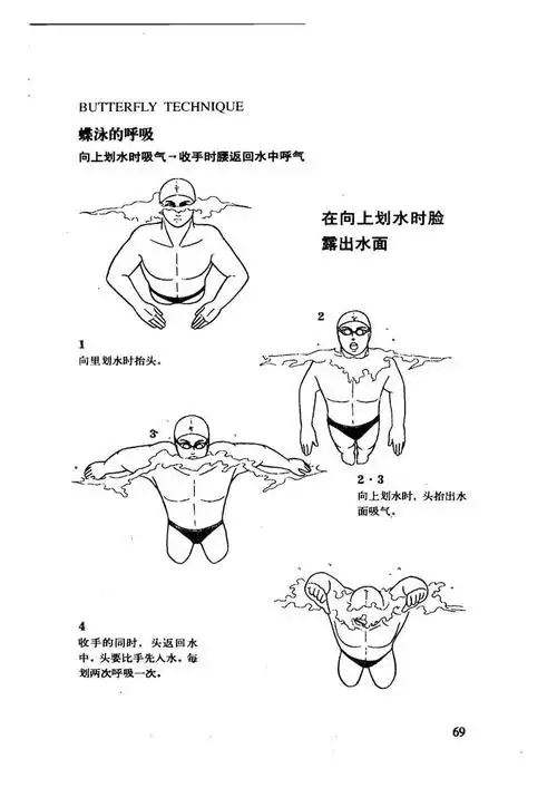 游泳技巧图解之蝶泳