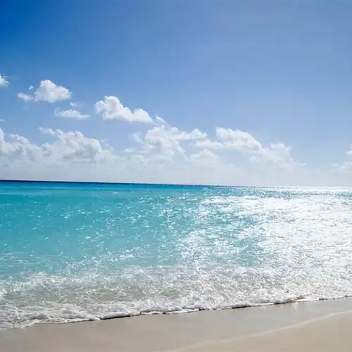 30-40岁女人微信名大全高雅(气质优雅昵称)|三国之家