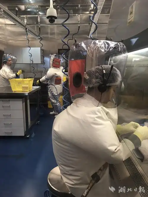 我国首个p4实验室到底多牛?这里研究世界上最危险病毒
