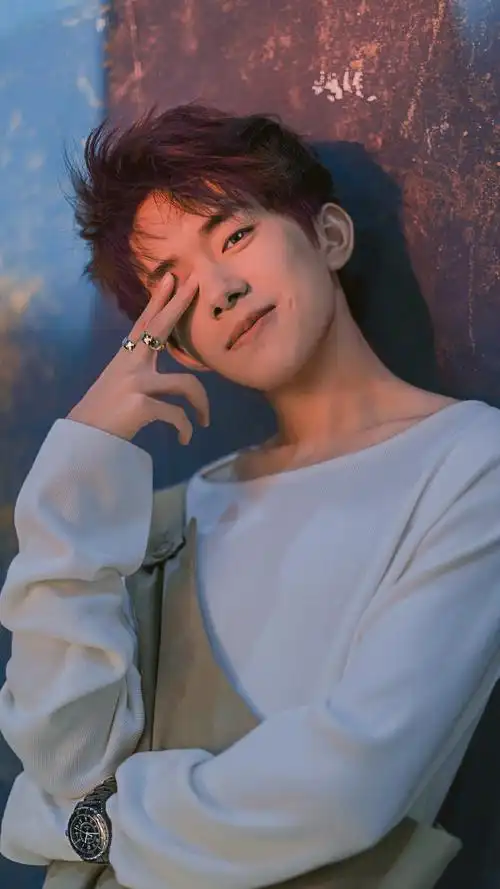 我的心愿是 世界和平