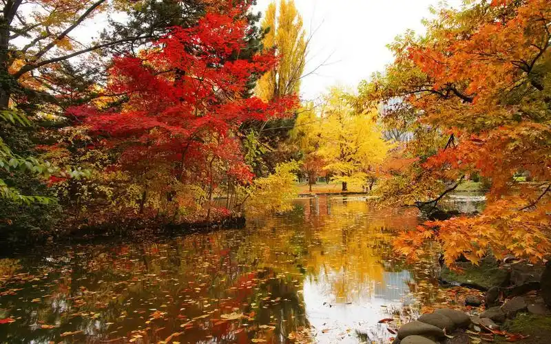 > 秋高气爽的秋日美景高清电脑桌面壁纸图片下载(一)(1920×1200)