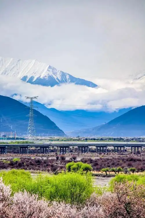 852_1280竖版 竖屏