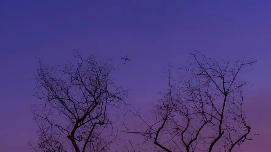 黄昏唯美意境风景抖音特别火的背景图-风景壁纸 - 壁纸之家