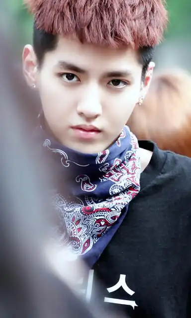 教主,吴亦凡,exo,帅