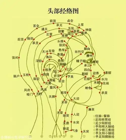 中医美容学习疏通脸部经络