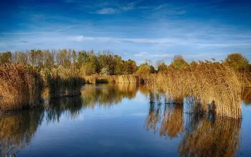 自然壁纸,唯美意境,芦苇,河流,自然,夕阳,秋意,唯美,电脑壁纸,壁纸风