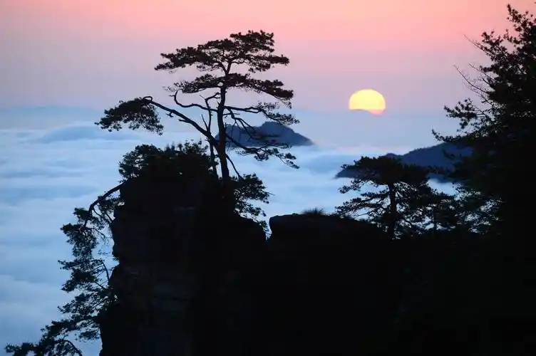 张家界天子山:云上日出 人间仙境(组图)_云海_山水画_游客