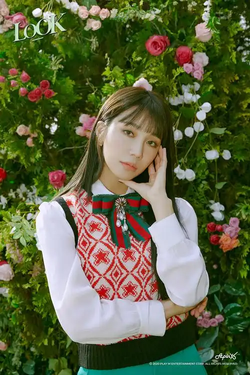 apink郑恩地孙娜恩时尚杂志写真图片