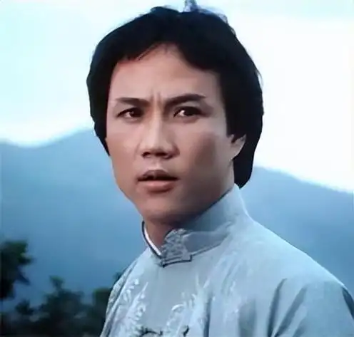 梁小龙谈李连杰,别人都称呼我是陈真,我也不是李连杰的对手|演员|记者