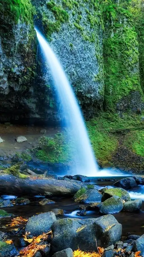 俄勒冈州,美国,森林,树木,瀑布,岩 iphone 壁纸