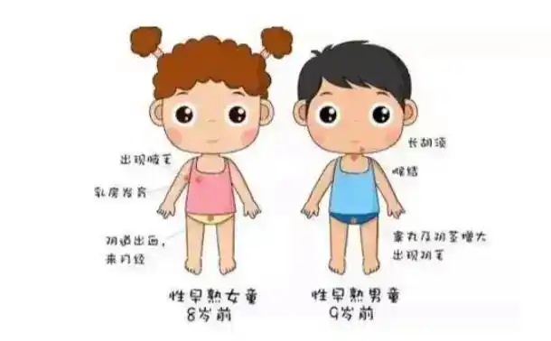 7岁小女孩假性发育,谁的锅04