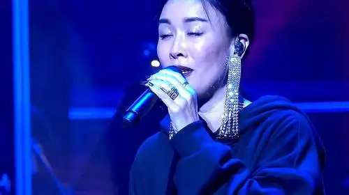 那英演唱会《白天不懂夜的黑》