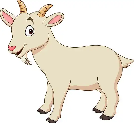 卡通搞笑山羊孤立在白色的背景