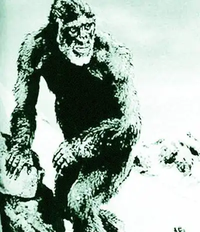 驴友爬太白山称撞上野人身高八尺浑身毛图