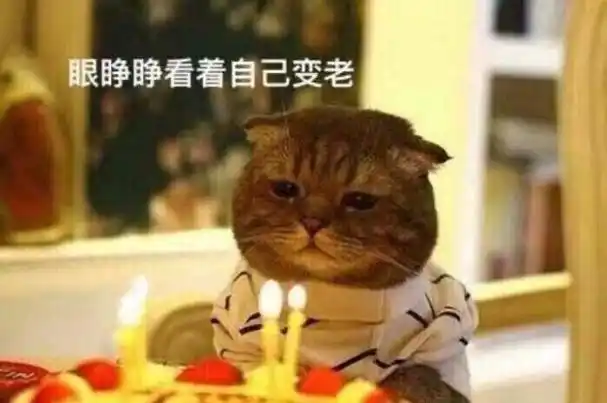 低调生日,最特别的礼物