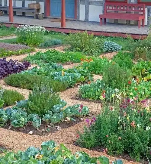 别人在家种出的菜园比你的花园还美