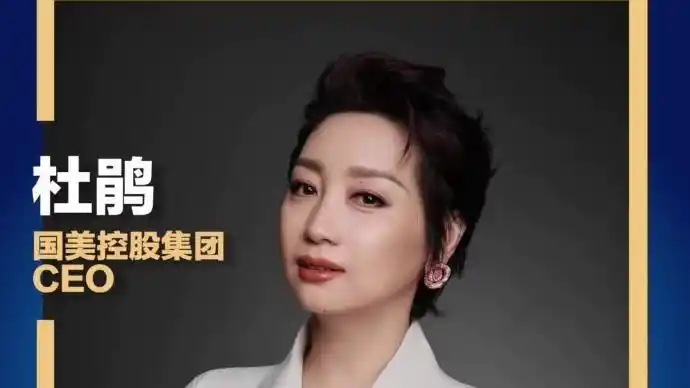 国美控股集团ceo杜鹃 我们需要打破藩篱 重构行业对创新环境的生态