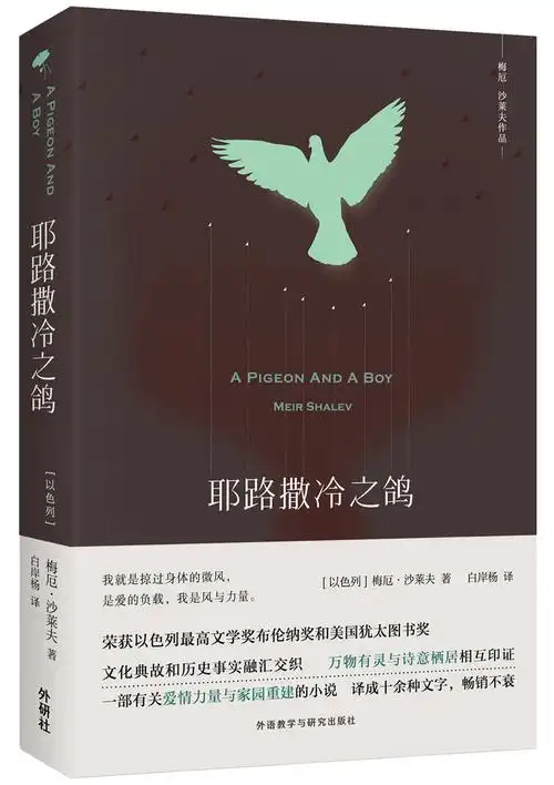 耶路撒冷之鸽 a pigeon and a boy