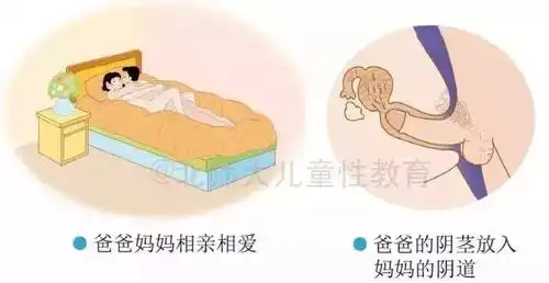 二年级第二学期,课本上已经有了人类交配的具体知识.