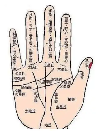 329_445竖版 竖屏