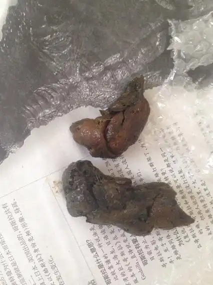 这样的狗屎算健康吗?