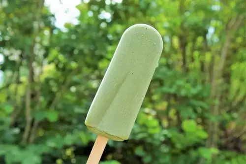 牛油果绿短t少女的裙摆与蝴蝶为伴长长的秀发与微风相舞绿色印花t和你