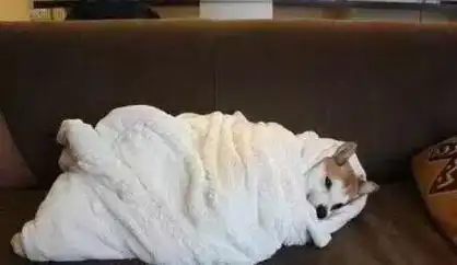 扫系南 - 斗图表情包 - 爱逗图