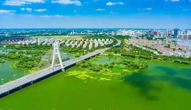 潍坊|安丘市|山东省|青岛_网易订阅