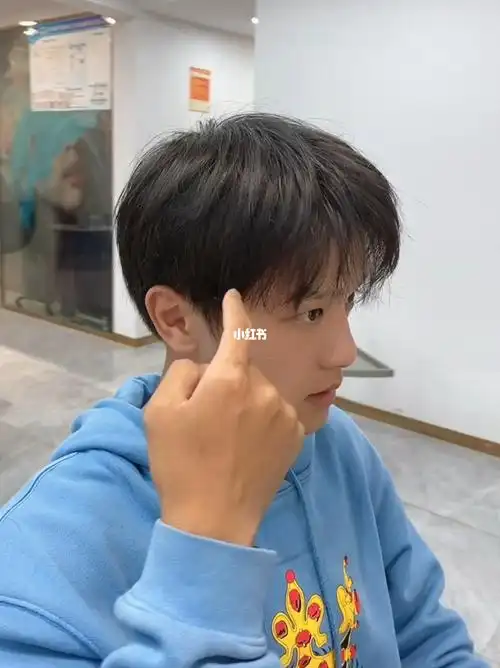 男高中生适合发型