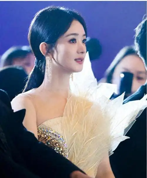 冯绍峰心里可能也得承认,他那位曾经红透半边天的老婆,能力真不是盖的