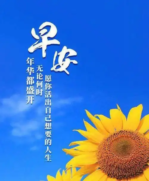 励志要的句子说说心情早上朋友圈说说励志的话