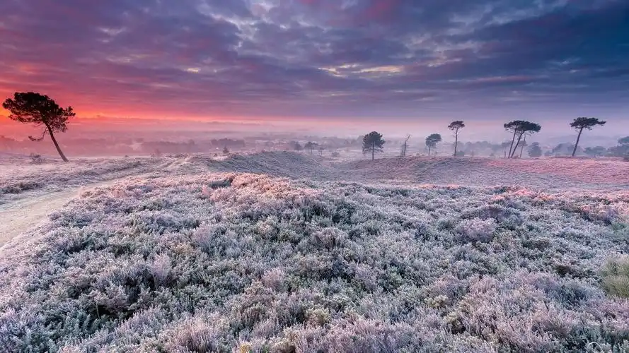 绝美冬日自然风光桌面壁纸