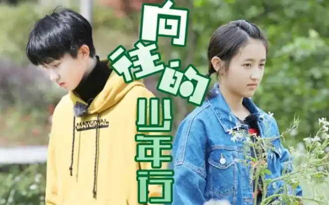 【马嘉祺x张子枫】伪·向往的生活·台风少年行综艺混剪_哔哩哔哩