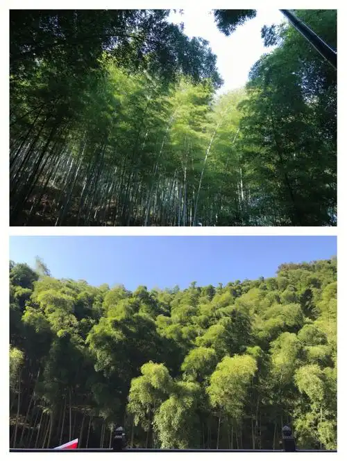 宜兴竹海索道值得