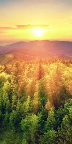 唯美的日出风光,锁屏图片,高清手机壁纸,风景-回车桌面