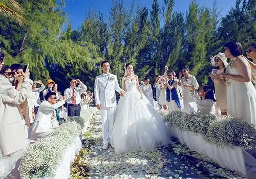 陈思诚佟丽娅结婚