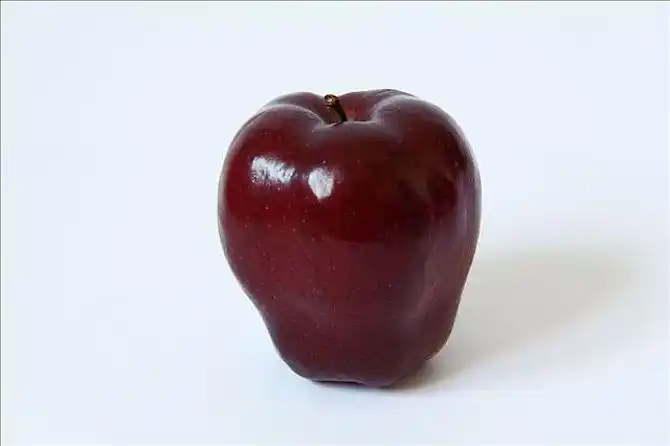 单个物体图片_全景网