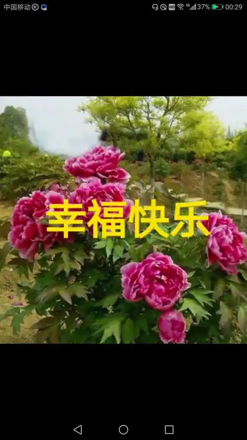 我的家人健康平安!幸福快乐!