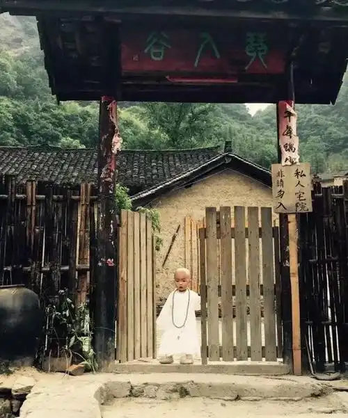 他活得最赚带着妻女隐居武当深山