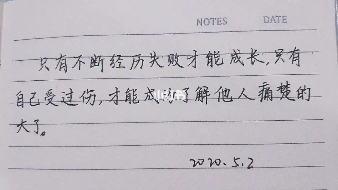 day49只有不断经历才会成长