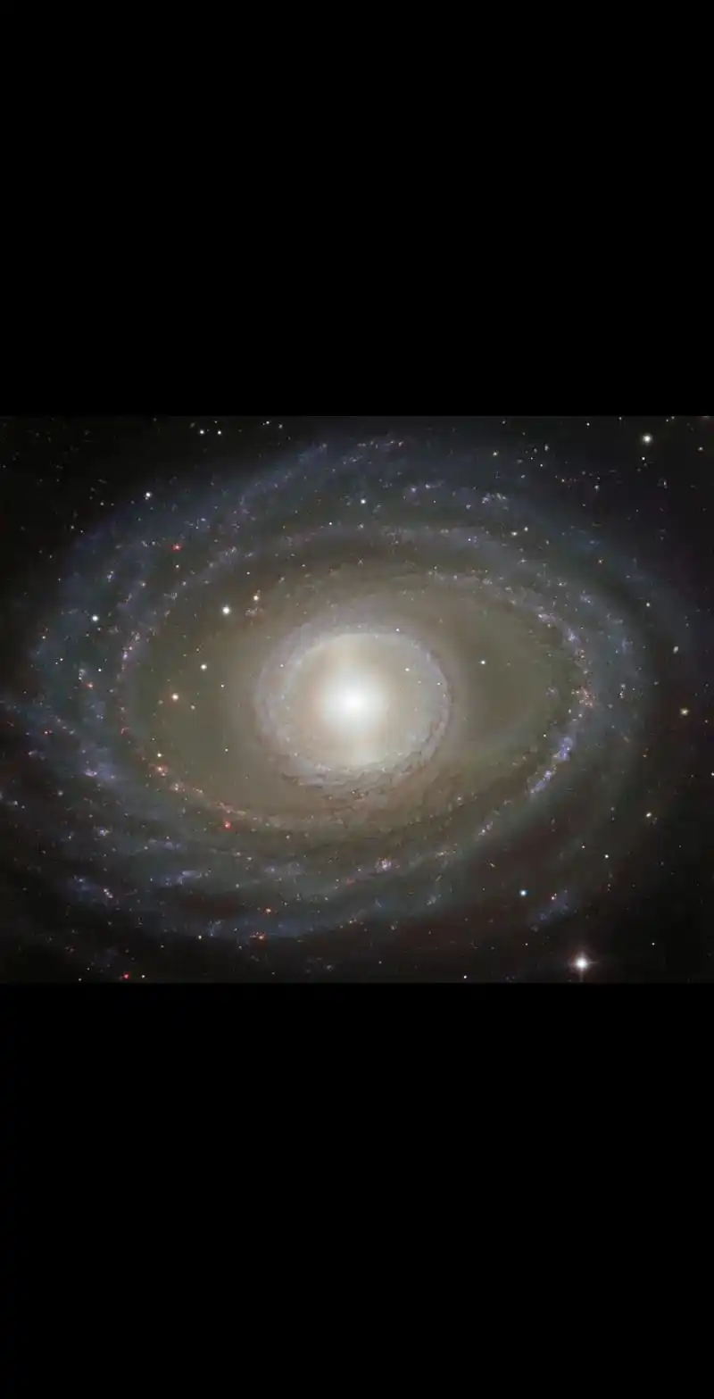 回复 @叛逆十三的评论 被爱是什么感觉?#宇宙 #恒星