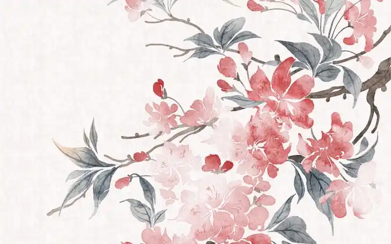 ipad古风花卉 | 海棠花绘画过程