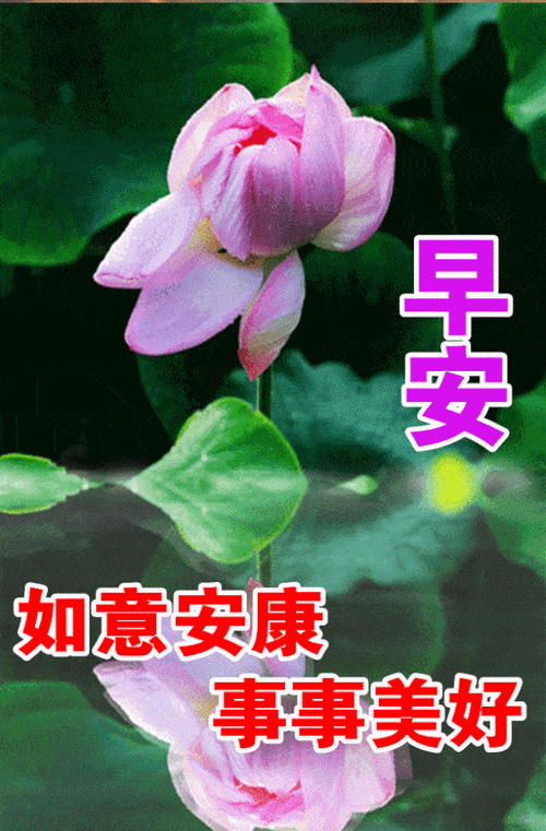 早安!返回搜狐,查看更多