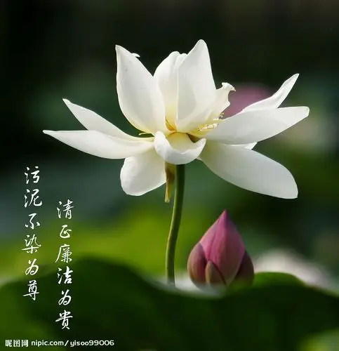 "畅想明日之家"第四届全国儿童绘画大赛开始咯!来展示小朋友绘画才