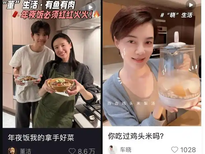 车晓晒做饭视频被网友气到删屏一句学董洁捅了她心窝子